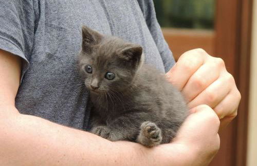 Corte dell'Uva - Foto 70