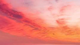 Zambujeira Lounge - Foto 3