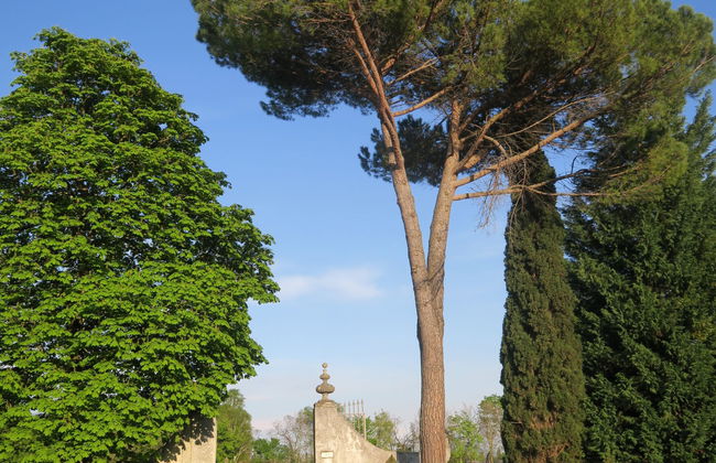 Casa del Ligustro - Foto 27