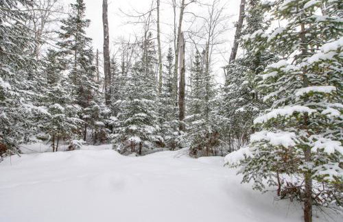 On-Site Ice Fishing Nashwauk Vacation Rental! - Foto 23