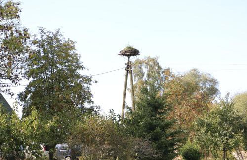 Agroturystyka Żuławiaczek - Foto 20