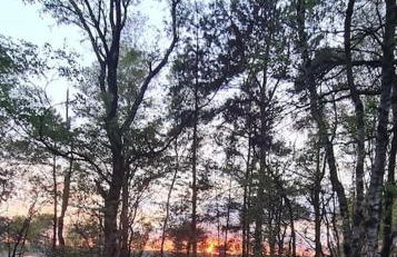 Hirschblick - Foto 22