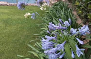 Appartamento Anna - Foto 32