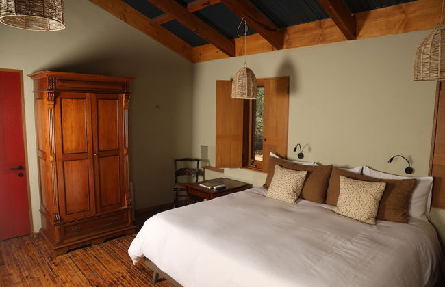 Alma Liebre Viñedos del Valle - Foto 7