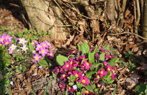 Aparthotel Grabner - Foto 45