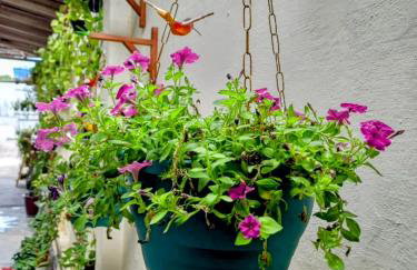 Espaço Itacoatiara - Foto 7