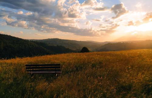 Ferienwohnung Steinachblick - Photo 20