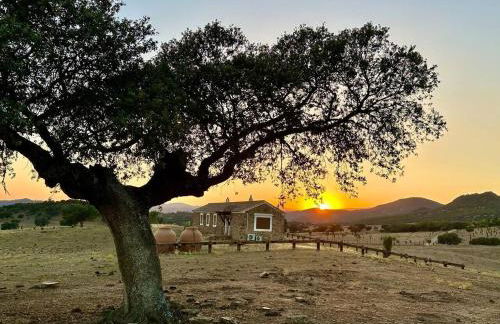 Finca La Alcolehuela - Foto 19