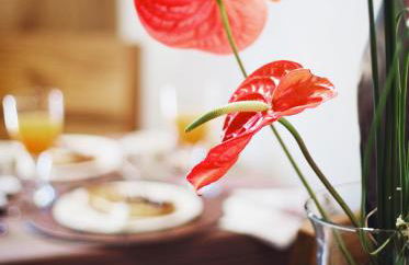 Apartaments Petit Saüc - Foto 13