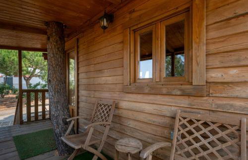 Cortijo señora de las Angustias 1 - Foto 29