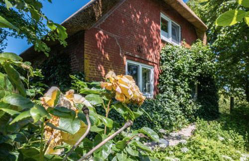 Fewo Silke Dethlefsen - Foto 12