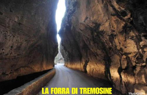 Dream Apartment - Foto 66