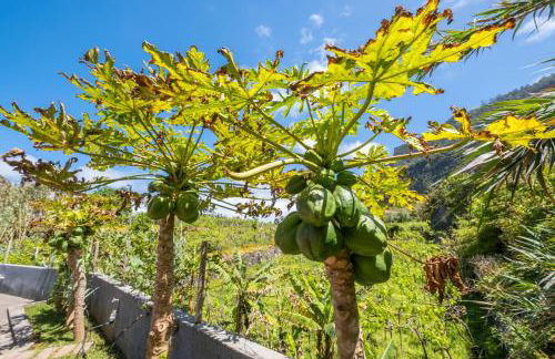 Casa del Mar II by GALMI - Foto 32