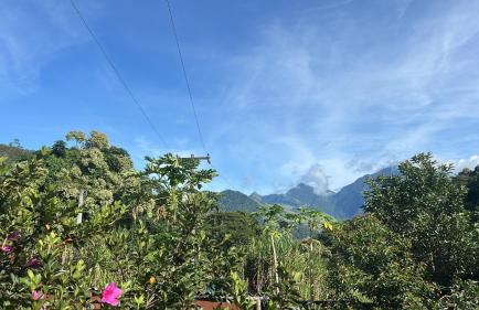 La Casinha da Sorte - Photo 34