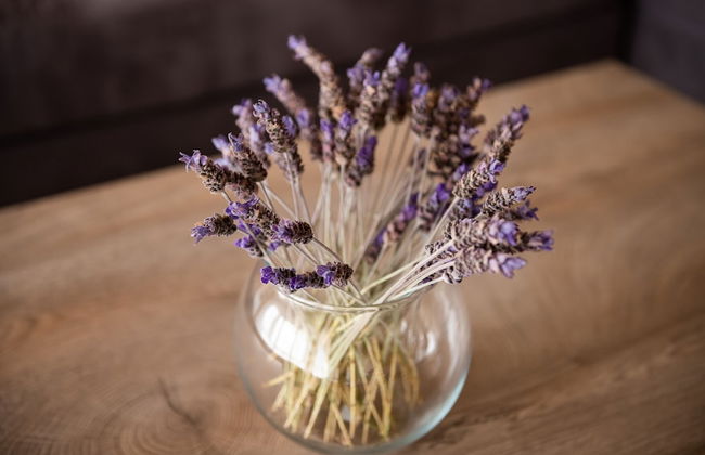 Ionian Mansion - Photo 54