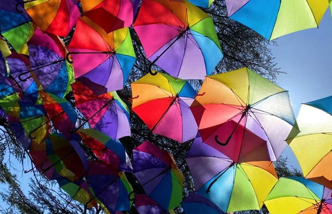 Cedrus Life Bungalow Tesisleri - Photo 12