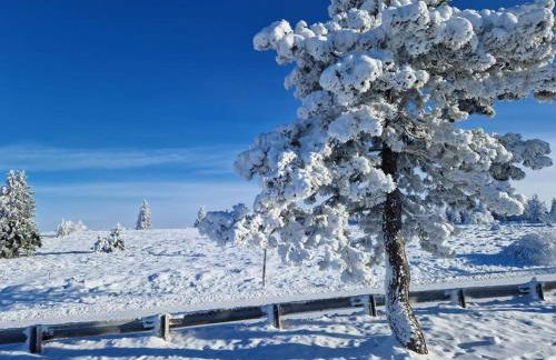 L'Appart avec terrasse - centre historique - Photo 30