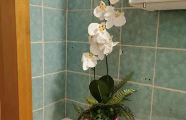 Fewo in Weierbach bei Idar-Oberstein - Foto 36