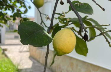 Il Cottage di Wanda - Foto 17