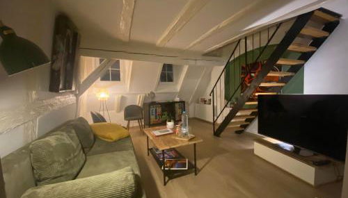 Les Corbelles, duplex hyper centre - Photo 4