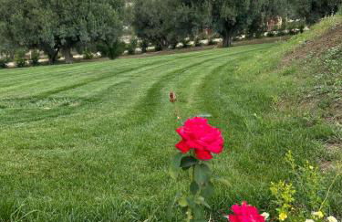 Agriturismo Green Planet - Foto 26