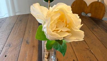 komham-walberla - Foto 3