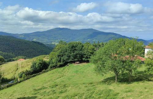 ELEXBURU LANDA Apartamentos Turisticos Rurales - Foto 21