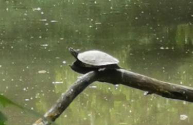 Im Herzen des Kraichgaus 2 - Foto 35