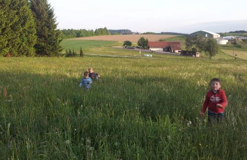 Gästehaus Grünberger - Foto 34