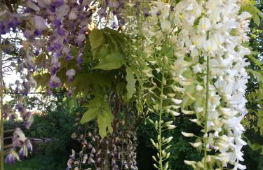 Agriturismo SetteLune - Foto 3