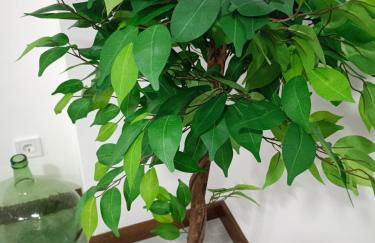 Duplex Llume - Grupo Apartamentos Sanin - Foto 23