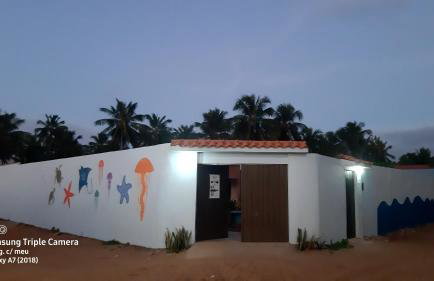 Casa beira mar com piscina Coruripe Povoado Miai de cima - Foto 30