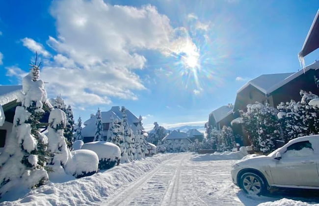 Green Hill Zlatibor Apartment - Photo 18