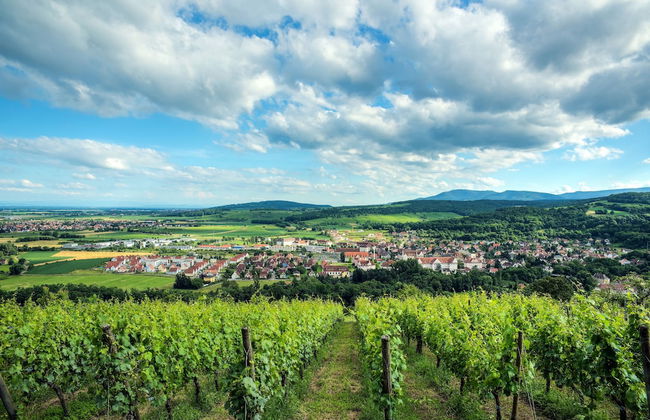 Comfort Aparthotel Mutzig Portes d'Alsace - Foto 43