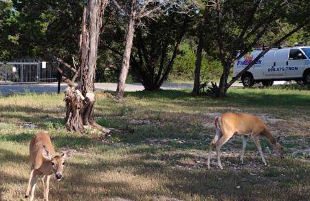 Spacious Family Gem, Close to Lake, Hot Tub - Foto 33