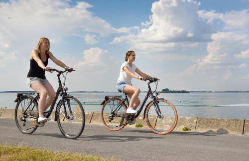 Maison Carteret à 10 mn Lac du Der plages port casino confort et calme jardin bbq - Foto 22