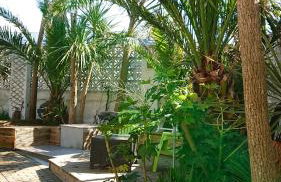 The Black Palms - Fistral Beach - Foto 20