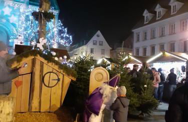 MUNSTER camping de la FECHT - Foto 41