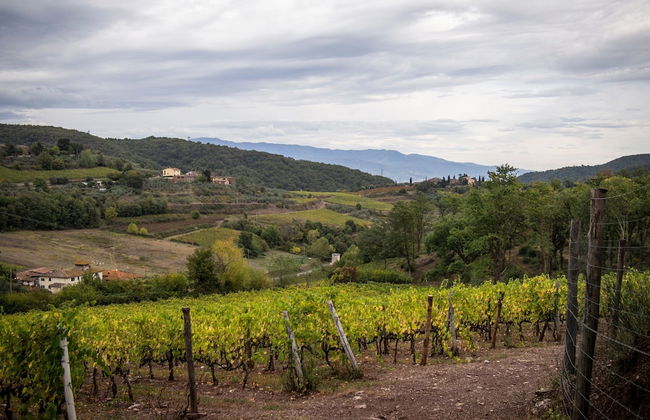 Relaxing Margherita Home Private Garden - Photo 33