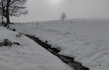 Tygiel Krzywa, Beskid Niski - Foto 7