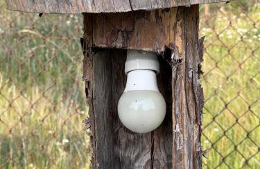 Domki Carmen - Foto 65