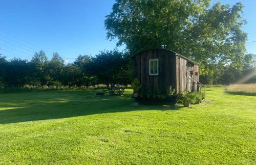 Mountbatten Shepherds hut & Buckhurst Shepherds hut - Photo 79