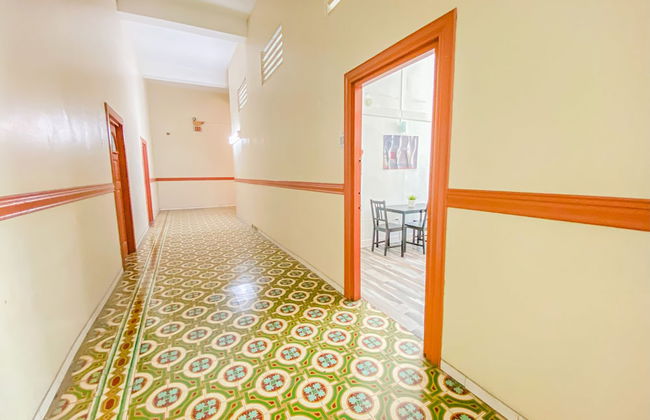 Gladiolas 1208 - Foto 14