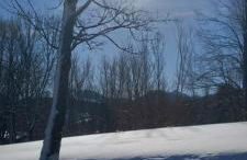 LA CASETTA DELLA NONNA - Photo 72