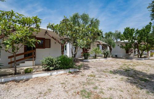 Residence Lido dei Pini - Foto 35