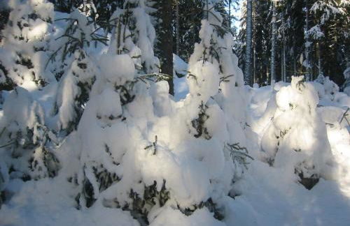 Ferienhaus im Park - Foto 41