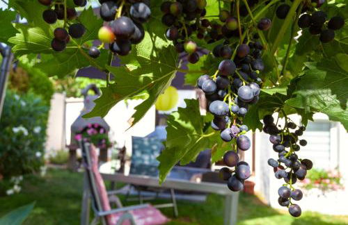 Ferienwohnung Emmi - Foto 15