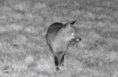 Peaceful ensuite lakeside cabin 'Tench' - Foto 28