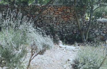 Lavender House - Photo 27