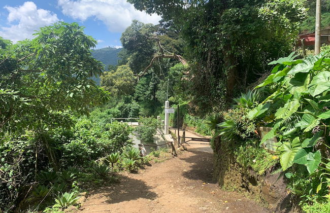 Finca El Tambor - Foto 64